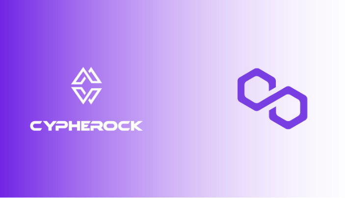 Hero image for Polygon(MATIC) integrated with Safekeyx X1