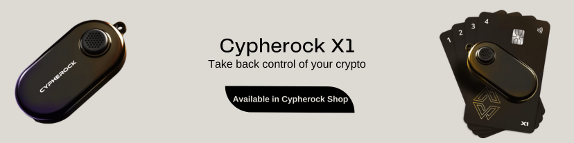 Safekeyx X1